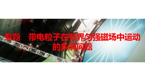 专题  带电粒子在有界匀强磁场中运动的多解问题