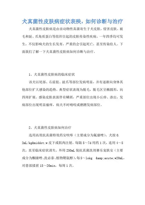 犬真菌性皮肤病症状表殃,如何诊断与治疗