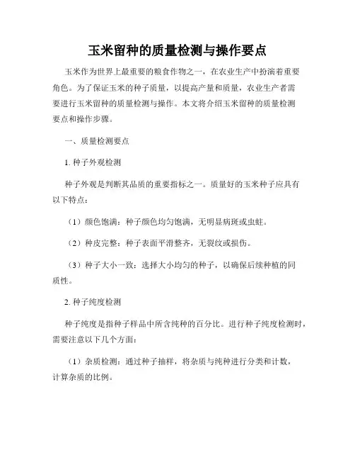 玉米留种的质量检测与操作要点