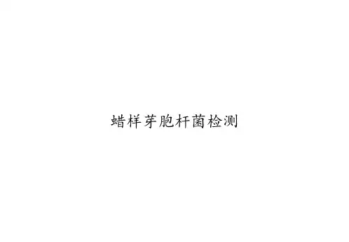 蜡样芽胞杆菌检测