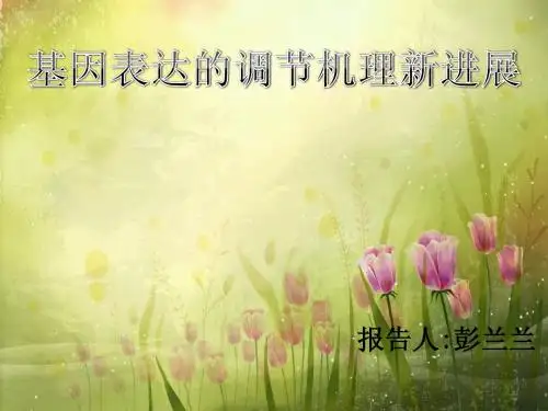 基因表达的调节机理新进展