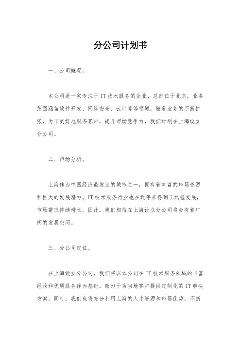 分公司计划书