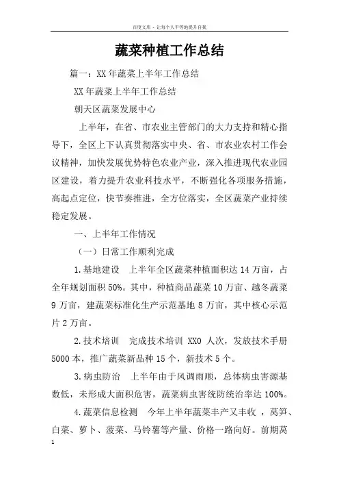 蔬菜种植工作总结