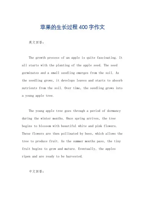 苹果的生长过程400字作文