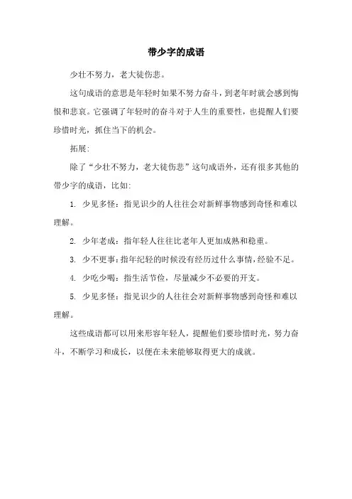 带少字的成语
