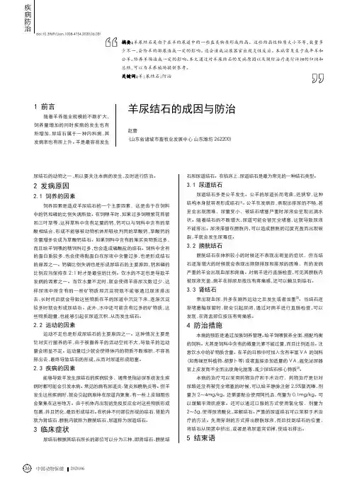 羊尿结石的成因与防治