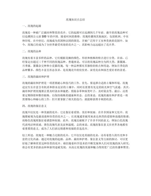 玫瑰知识点总结