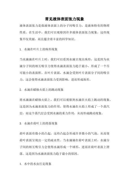 常见液体表面张力现象