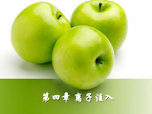 离子注入