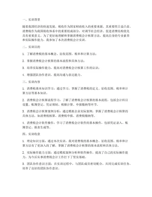 消费税会计实训报告总结