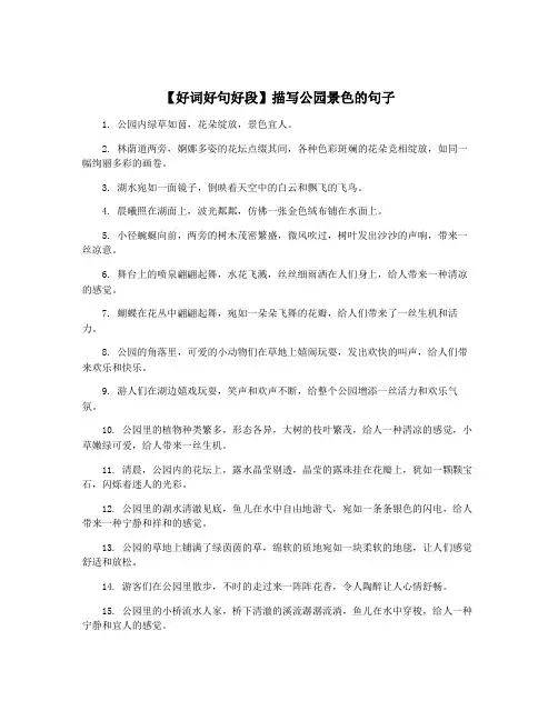 【好词好句好段】描写公园景色的句子
