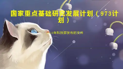 国家重点基础研究发展计划(973计划)