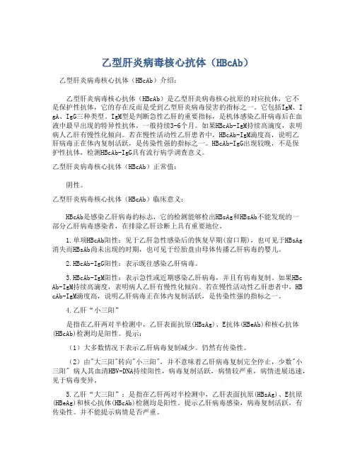  乙型肝炎病毒核心抗体(HBcAb)