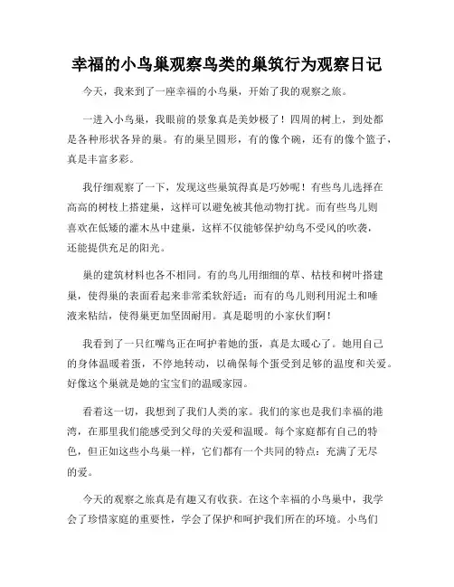  小学三年级作文幸福的小鸟巢观察鸟类的巢筑行为观察日记