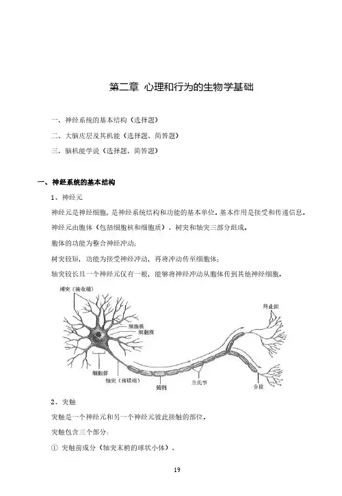 普通心理学基础讲义	第二章	心理和行为的生物学基础