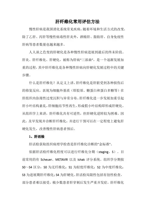 肝纤维化常用评估方法