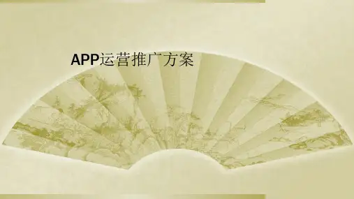 APP运营推广方案