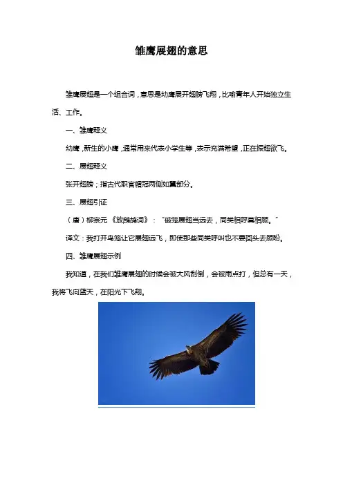 雏鹰展翅的意思