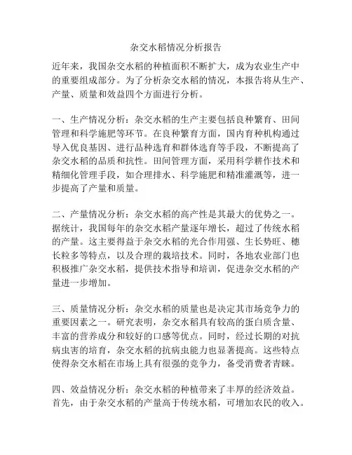 杂交水稻情况分析报告