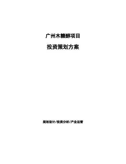 广州木糖醇项目投资策划方案