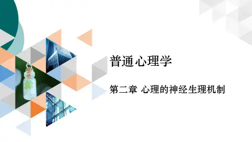 普通心理学第二章(彭聃龄第四版)