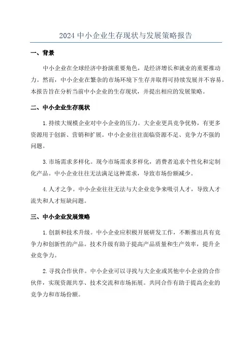 2024中小企业生存现状与发展策略报告