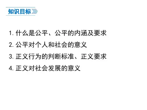 部编版道德与法治八年级下册   公平正义的价值