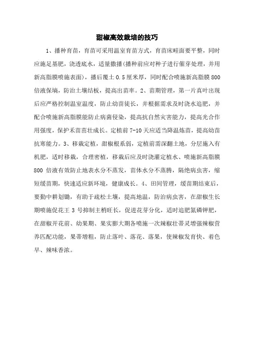 甜椒高效栽培的技巧