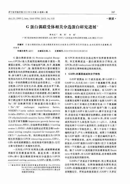 G蛋白偶联受体相关分选蛋白研究进展倡