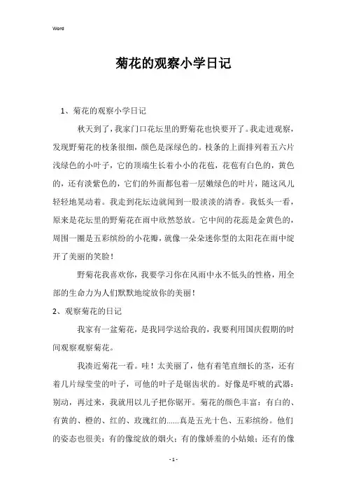 菊花的观察小学日记