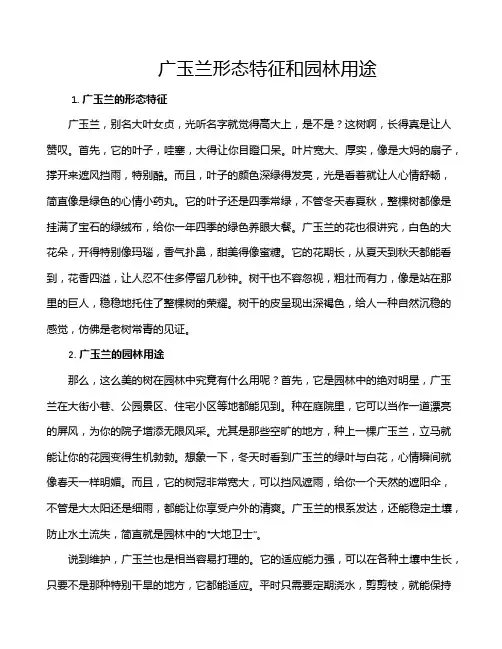 广玉兰形态特征和园林用途