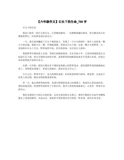 【六年级作文】石头下的生命_700字