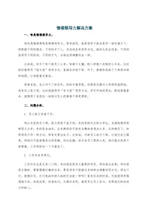 情境领导力解决方案