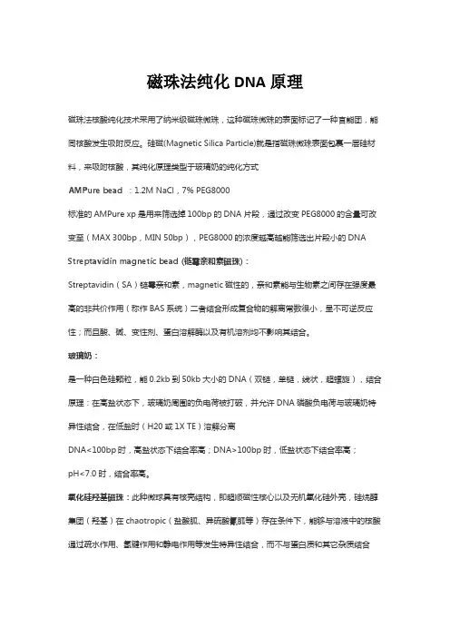 磁珠纯化原理