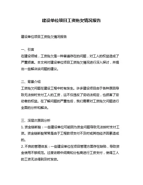 建设单位项目工资拖欠情况报告
