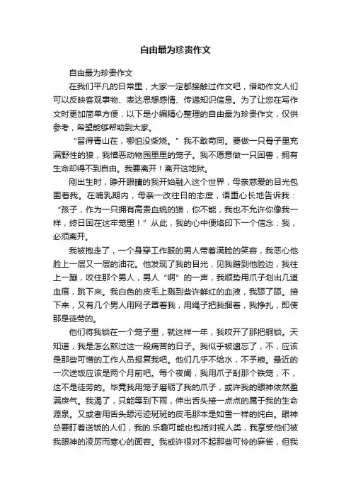 自由最为珍贵作文
