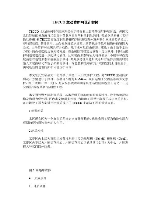 TECCO主动防护网设计实例