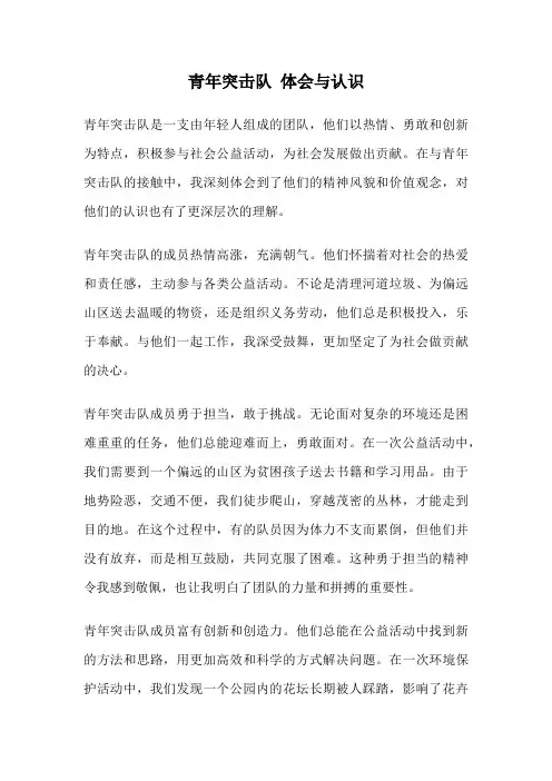 青年突击队 体会与认识