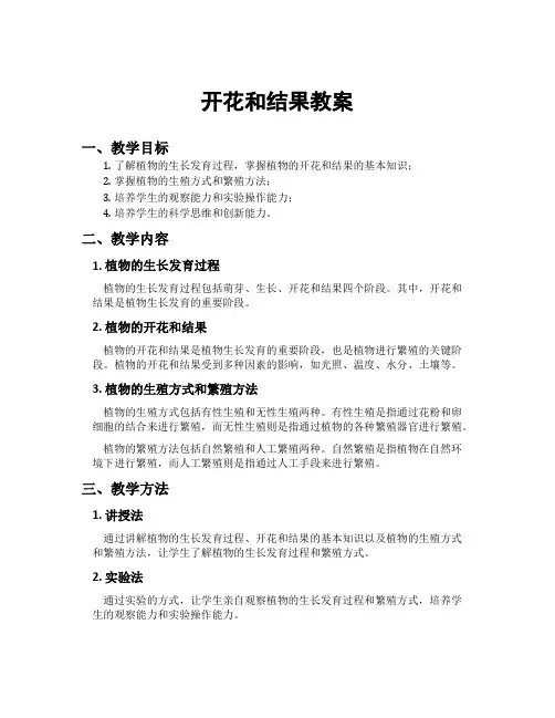 开花和结果教案