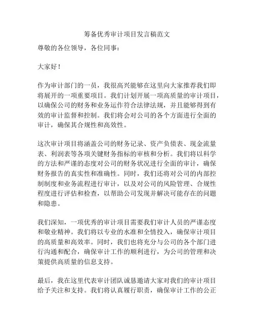 筹备优秀审计项目发言稿范文