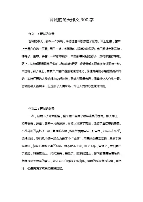 晋城的冬天作文300字