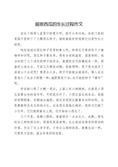 观察西瓜的生长过程作文400字