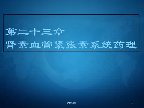 肾素-血管紧张素系统药理  ppt课件