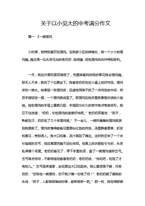 关于以小见大的中考满分作文