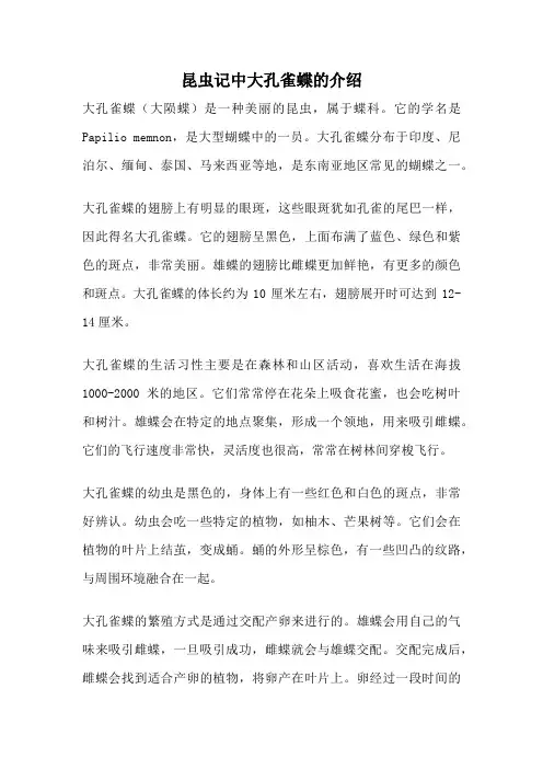 昆虫记中大孔雀蝶的介绍