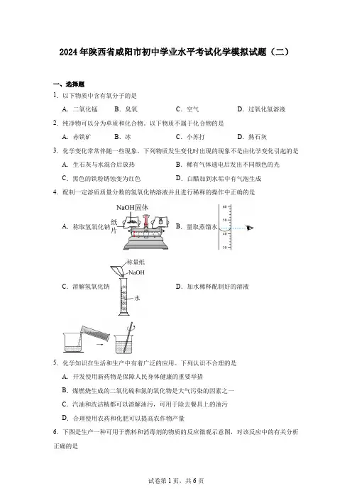 2024年陕西省咸阳市初中学业水平考试化学模拟试题(二)