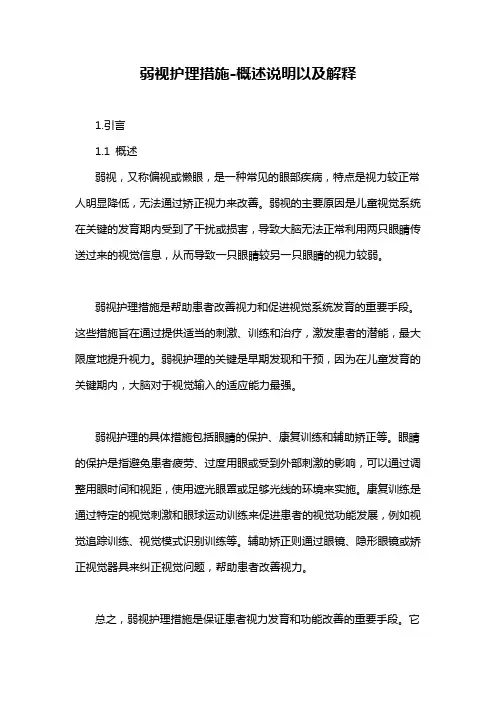 弱视护理措施-概述说明以及解释