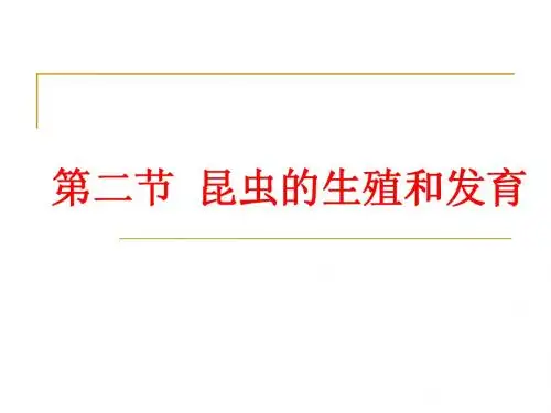 昆虫的生殖和发育