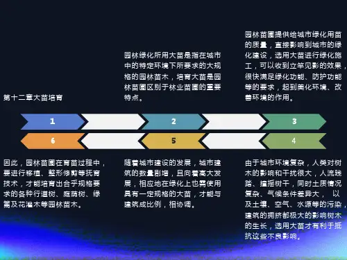 园林苗圃学第十二章大苗培育