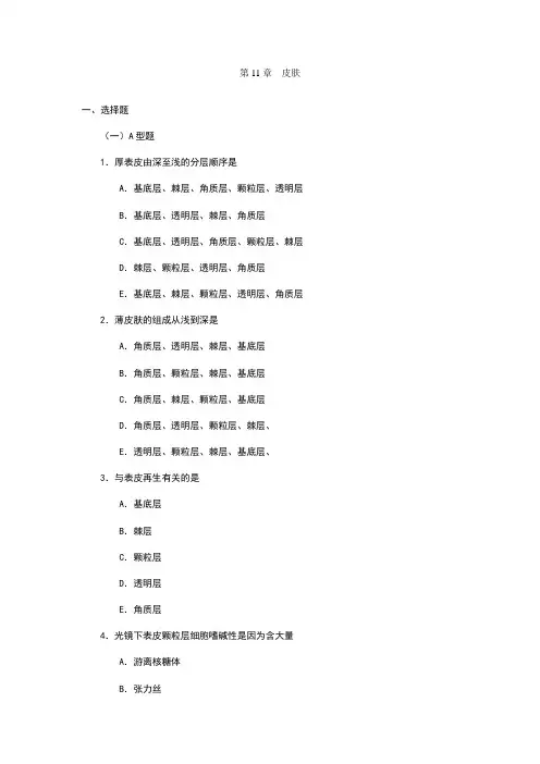 第11章  皮肤